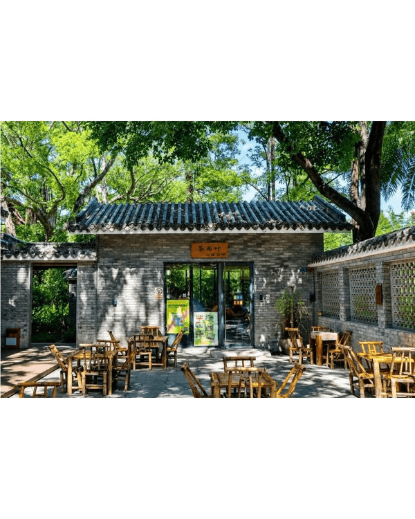 深圳蛇口四海公園避暑一流🌳白色玻璃屋Cafe+睇夏日白荷花海☕️大草坪樹蔭放空勁Chill