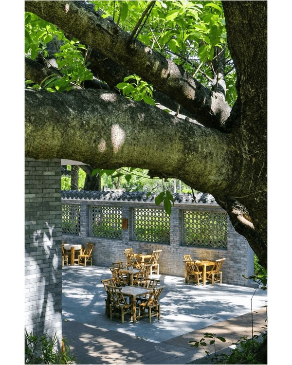 深圳蛇口四海公園避暑一流🌳白色玻璃屋Cafe+睇夏日白荷花海☕️大草坪樹蔭放空勁Chill