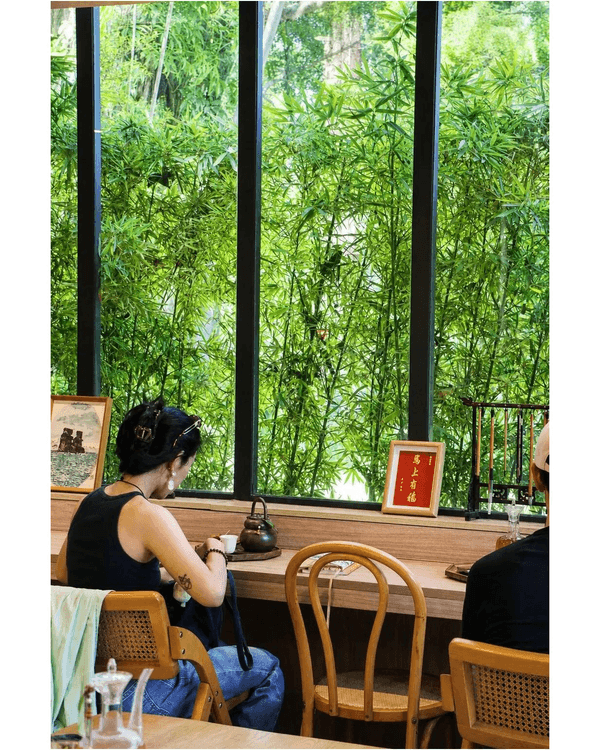深圳蛇口四海公園避暑一流🌳白色玻璃屋Cafe+睇夏日白荷花海☕️大草坪樹蔭放空勁Chill