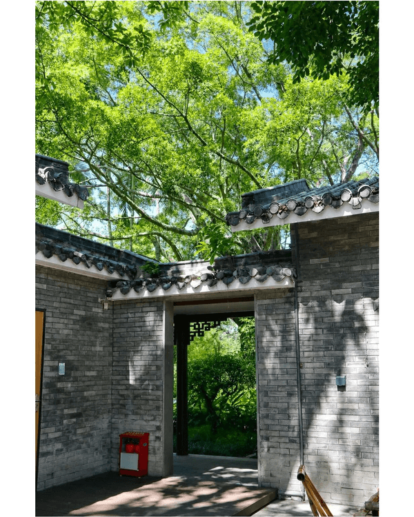 深圳蛇口四海公園避暑一流🌳白色玻璃屋Cafe+睇夏日白荷花海☕️大草坪樹蔭放空勁Chill