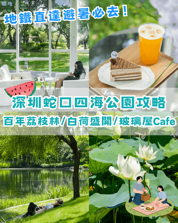 深圳蛇口四海公園避暑一流🌳白色玻璃屋Cafe+睇夏日白荷花海☕️大草坪樹蔭放空勁Chill