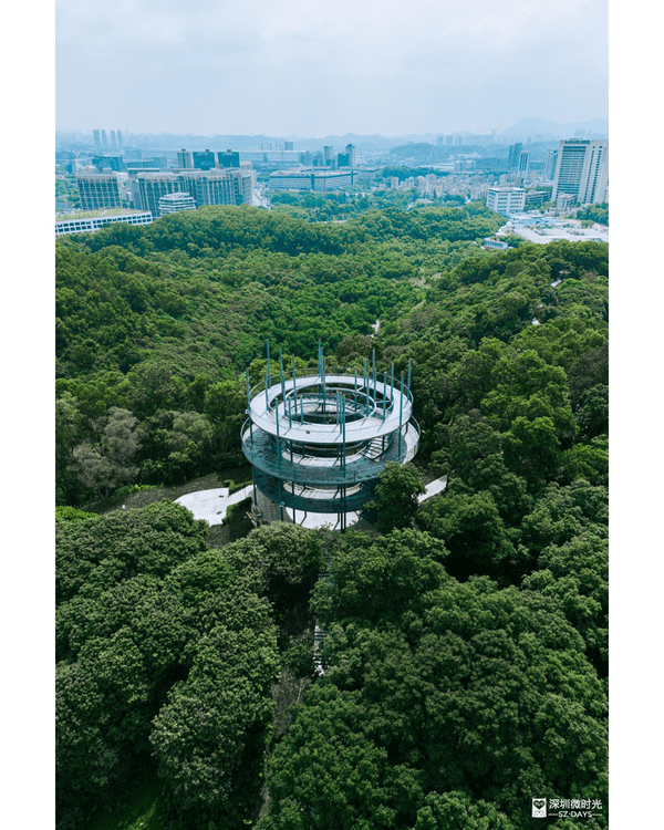 深圳龍崗驚現「紐約Vessel」？📸三聯郊野公園睇空中棧道日落+近距離追高鐵🚄