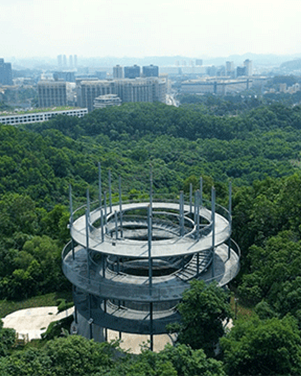深圳龍崗驚現「紐約Vessel」？📸三聯郊野公園睇空中棧道日落+近距離追高鐵🚄