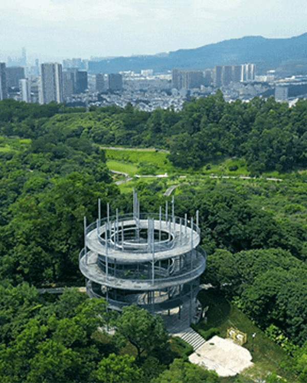 深圳龍崗驚現「紐約Vessel」？📸三聯郊野公園睇空中棧道日落+近距離追高鐵🚄