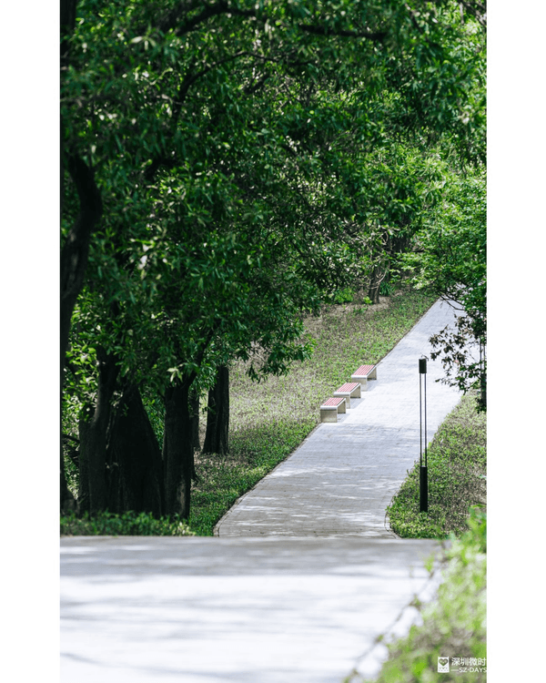 深圳龍崗驚現「紐約Vessel」？📸三聯郊野公園睇空中棧道日落+近距離追高鐵🚄