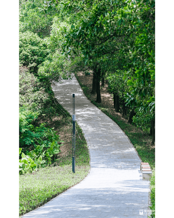 深圳龍崗驚現「紐約Vessel」？📸三聯郊野公園睇空中棧道日落+近距離追高鐵🚄
