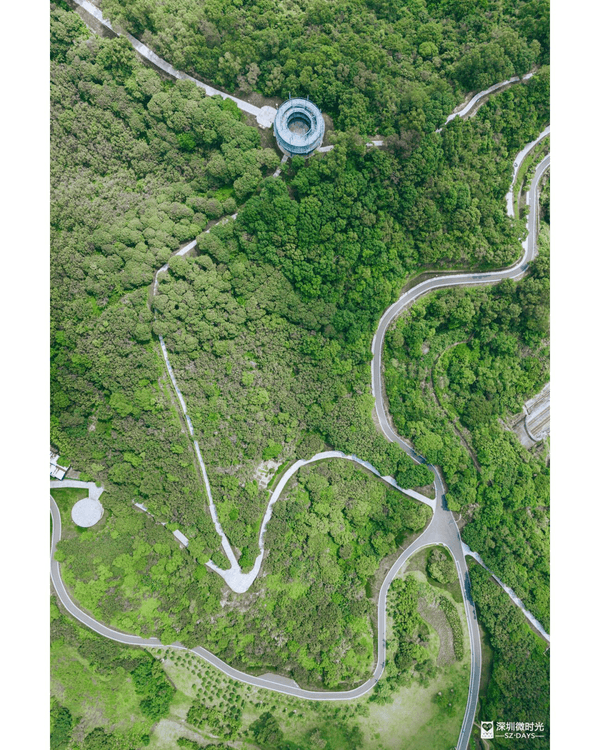 深圳龍崗驚現「紐約Vessel」？📸三聯郊野公園睇空中棧道日落+近距離追高鐵🚄