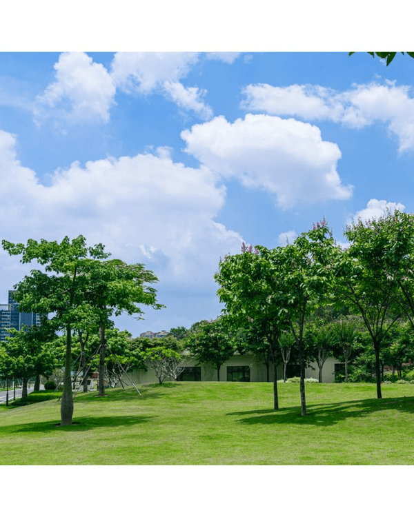 深圳龍崗驚現「紐約Vessel」？📸三聯郊野公園睇空中棧道日落+近距離追高鐵🚄