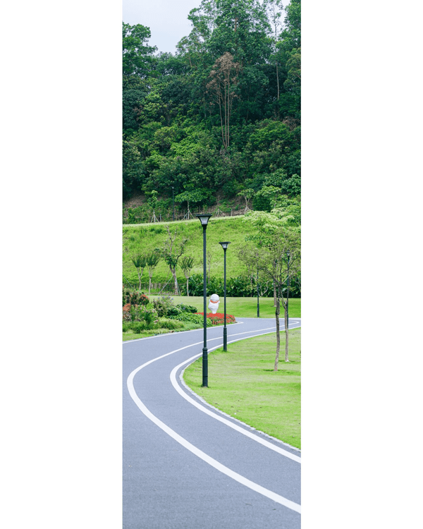 深圳龍崗驚現「紐約Vessel」？📸三聯郊野公園睇空中棧道日落+近距離追高鐵🚄