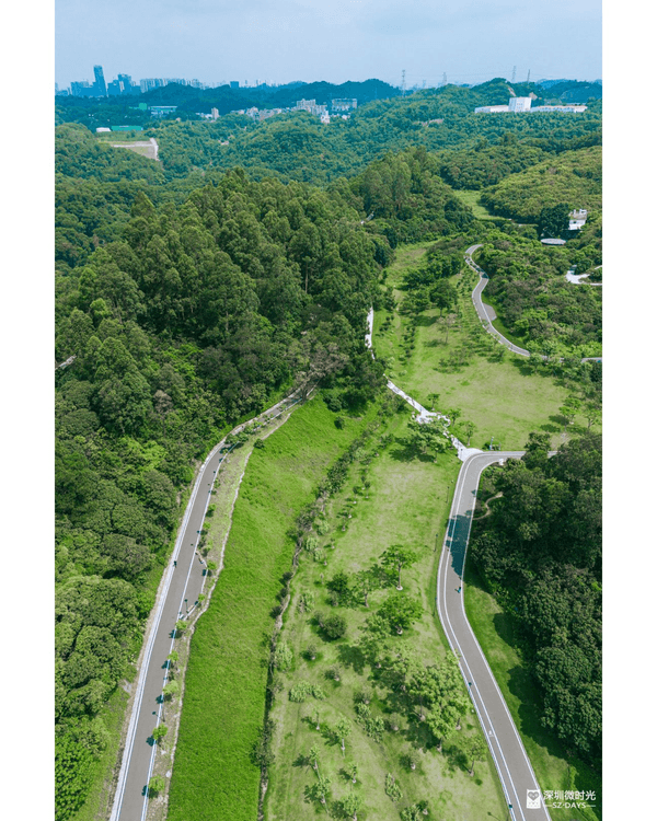 深圳龍崗驚現「紐約Vessel」？📸三聯郊野公園睇空中棧道日落+近距離追高鐵🚄