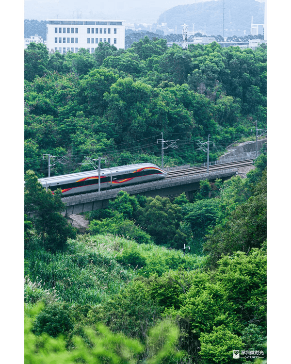 深圳龍崗驚現「紐約Vessel」？📸三聯郊野公園睇空中棧道日落+近距離追高鐵🚄