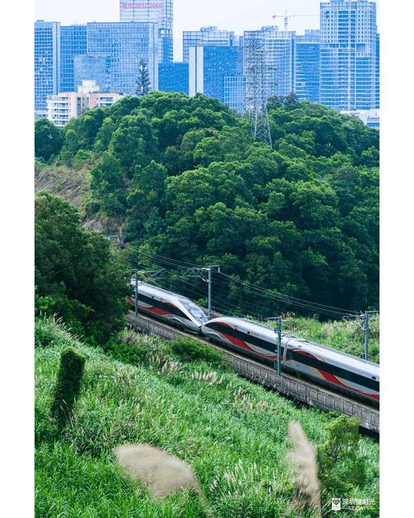 深圳龍崗驚現「紐約Vessel」？📸三聯郊野公園睇空中棧道日落+近距離追高鐵🚄