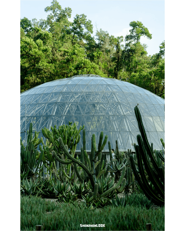 深圳羅湖仙湖植物園￥15超好行🍃睇1000+仙人掌🌵3大溫室+夢幻荷塘雨天放鬆必去！