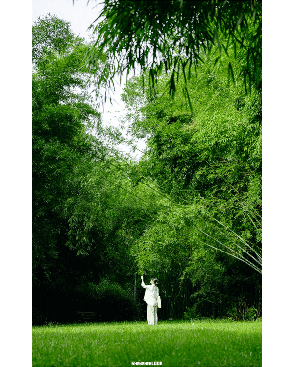 深圳羅湖仙湖植物園￥15超好行🍃睇1000+仙人掌🌵3大溫室+夢幻荷塘雨天放鬆必去！