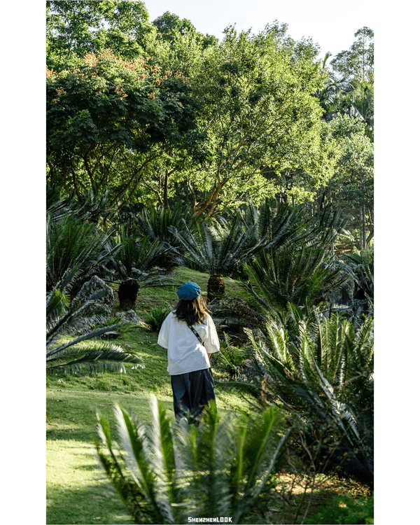 深圳羅湖仙湖植物園￥15超好行🍃睇1000+仙人掌🌵3大溫室+夢幻荷塘雨天放鬆必去！