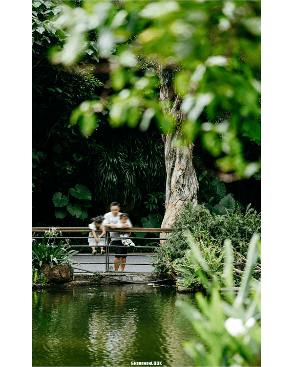 深圳羅湖仙湖植物園￥15超好行🍃睇1000+仙人掌🌵3大溫室+夢幻荷塘雨天放鬆必去！