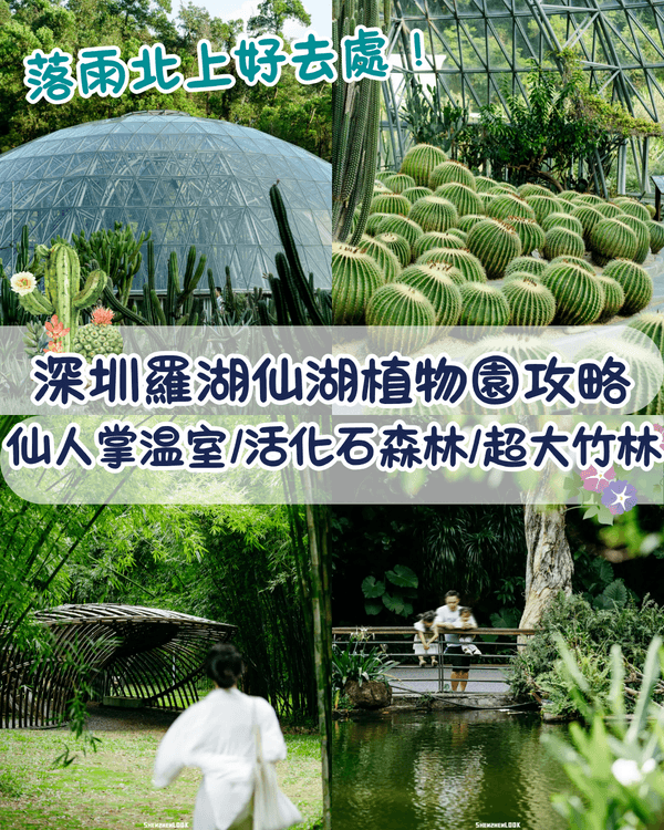 深圳羅湖仙湖植物園￥15超好行🍃睇1000+仙人掌🌵3大溫室+夢幻荷塘雨天放鬆必去！