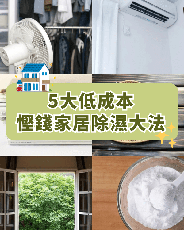 梅雨天濕氣重屋企發霉？教你6個低成本除濕妙招🤩一物兩用慳錢又環保！