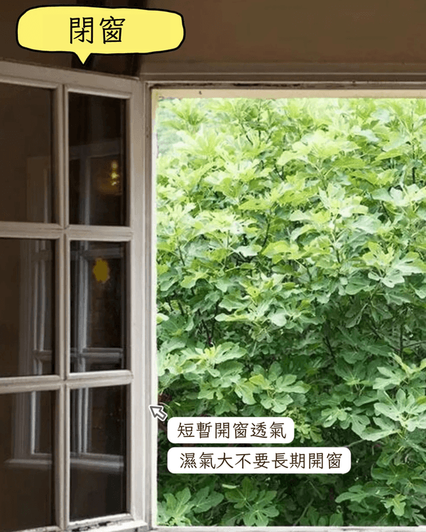 梅雨天濕氣重屋企發霉？教你6個低成本除濕妙招🤩一物兩用慳錢又環保！