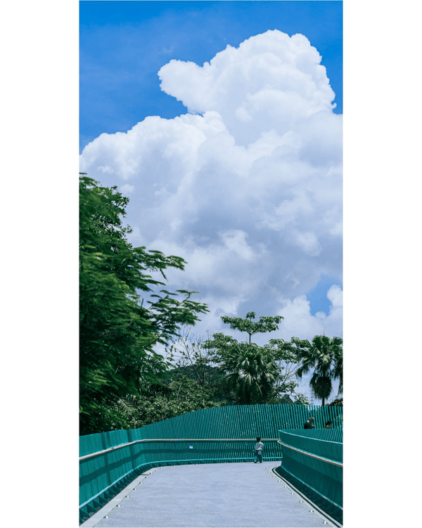 深圳光明天青色觀湖雲橋開放🏞️20km環湖行山徑必打卡！仲有單車路+新國際美術館🚲