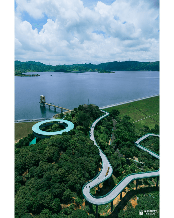 深圳光明天青色觀湖雲橋開放🏞️20km環湖行山徑必打卡！仲有單車路+新國際美術館🚲