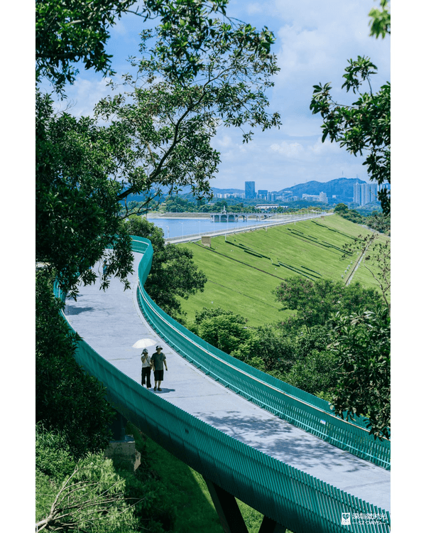 深圳光明天青色觀湖雲橋開放🏞️20km環湖行山徑必打卡！仲有單車路+新國際美術館🚲