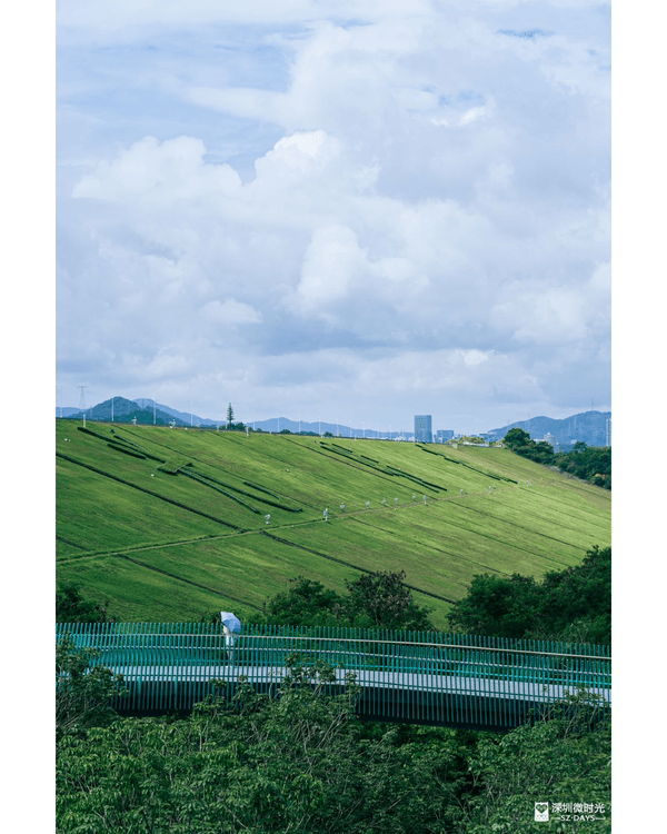 深圳光明天青色觀湖雲橋開放🏞️20km環湖行山徑必打卡！仲有單車路+新國際美術館🚲