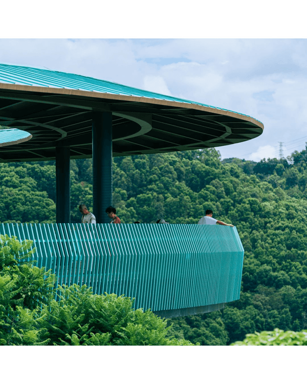 深圳光明天青色觀湖雲橋開放🏞️20km環湖行山徑必打卡！仲有單車路+新國際美術館🚲