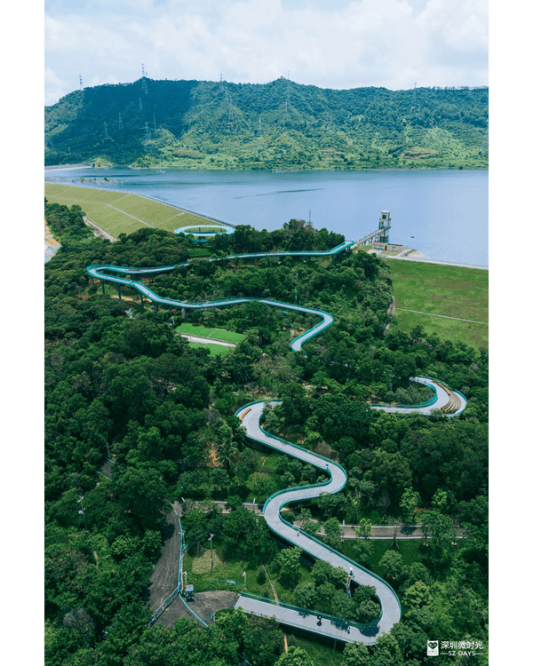 深圳光明天青色觀湖雲橋開放🏞️20km環湖行山徑必打卡！仲有單車路+新國際美術館🚲