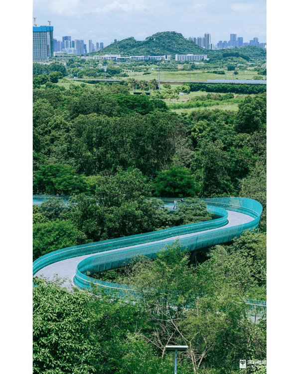深圳光明天青色觀湖雲橋開放🏞️20km環湖行山徑必打卡！仲有單車路+新國際美術館🚲