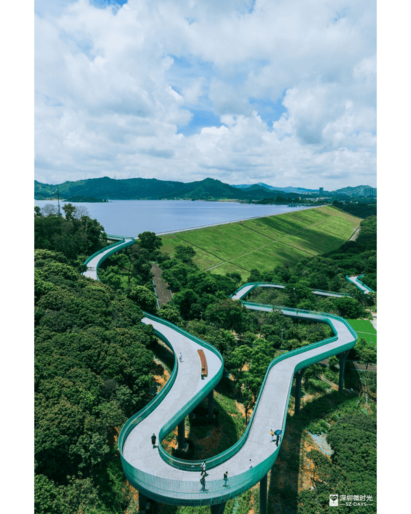 深圳光明天青色觀湖雲橋開放🏞️20km環湖行山徑必打卡！仲有單車路+新國際美術館🚲