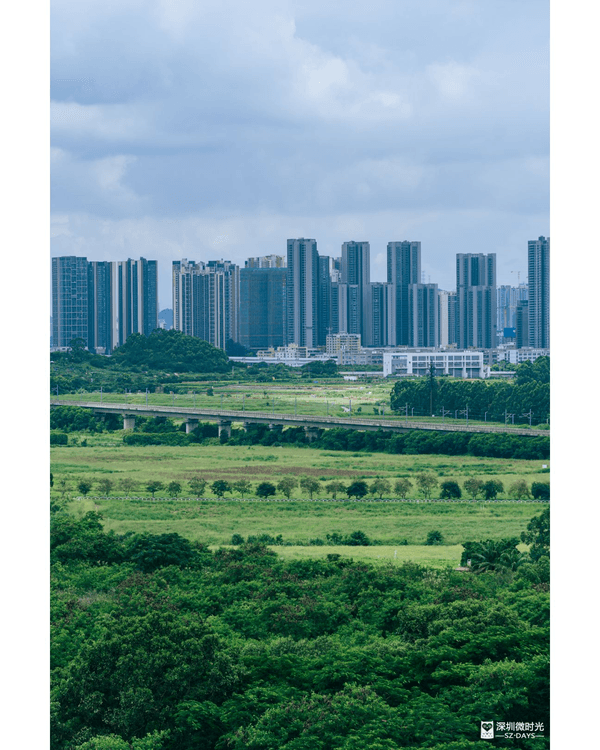 深圳光明天青色觀湖雲橋開放🏞️20km環湖行山徑必打卡！仲有單車路+新國際美術館🚲
