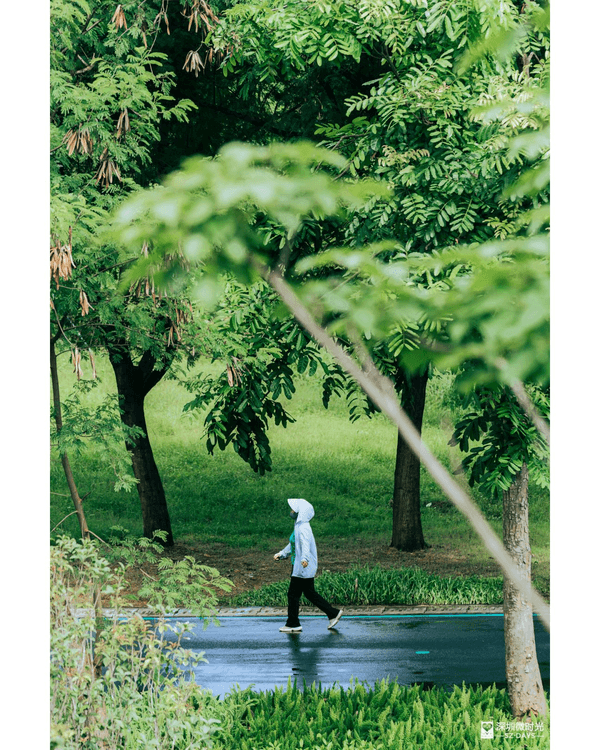 深圳光明天青色觀湖雲橋開放🏞️20km環湖行山徑必打卡！仲有單車路+新國際美術館🚲