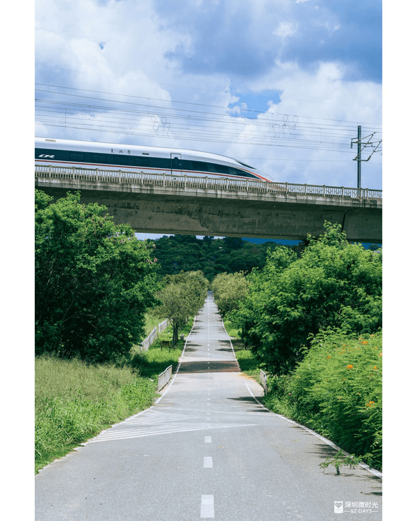 深圳光明天青色觀湖雲橋開放🏞️20km環湖行山徑必打卡！仲有單車路+新國際美術館🚲