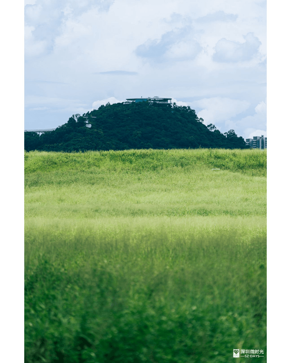 深圳光明天青色觀湖雲橋開放🏞️20km環湖行山徑必打卡！仲有單車路+新國際美術館🚲