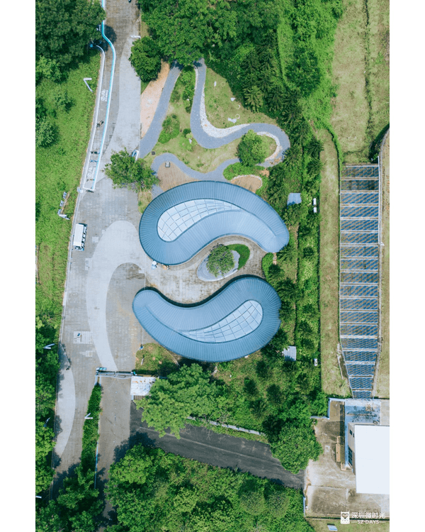 深圳光明天青色觀湖雲橋開放🏞️20km環湖行山徑必打卡！仲有單車路+新國際美術館🚲