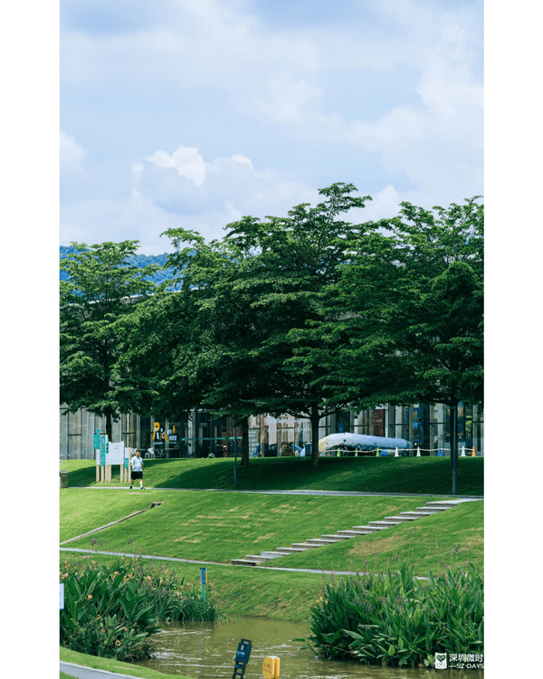 深圳光明天青色觀湖雲橋開放🏞️20km環湖行山徑必打卡！仲有單車路+新國際美術館🚲