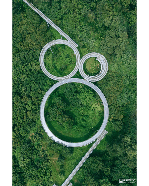 深圳光明天青色觀湖雲橋開放🏞️20km環湖行山徑必打卡！仲有單車路+新國際美術館🚲