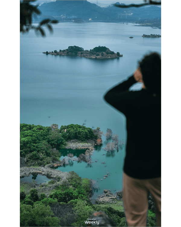 深圳光明天青色觀湖雲橋開放🏞️20km環湖行山徑必打卡！仲有單車路+新國際美術館🚲