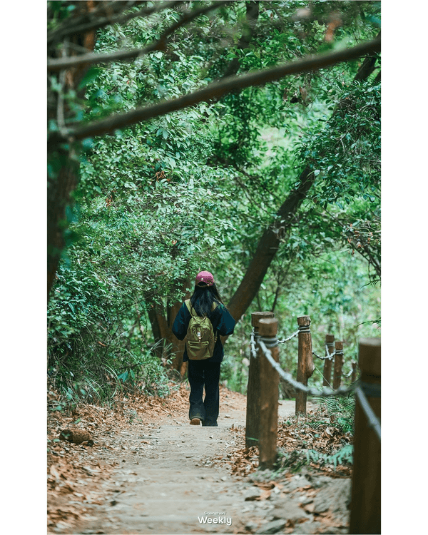 深圳光明天青色觀湖雲橋開放🏞️20km環湖行山徑必打卡！仲有單車路+新國際美術館🚲