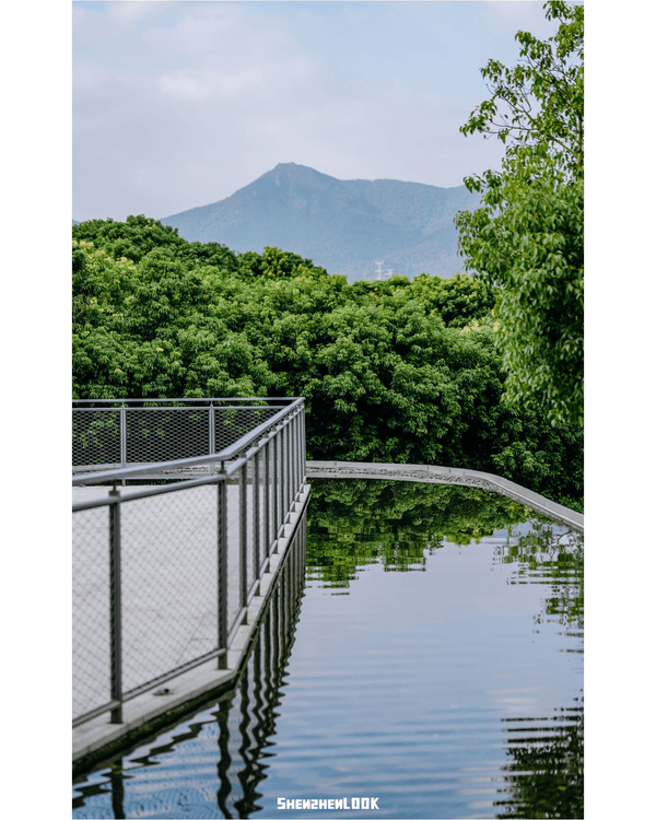 深圳首個「有冷氣綠道」環西麗湖🌳全長16.2km橫掃國際大獎🏆附3大絕美公園路線