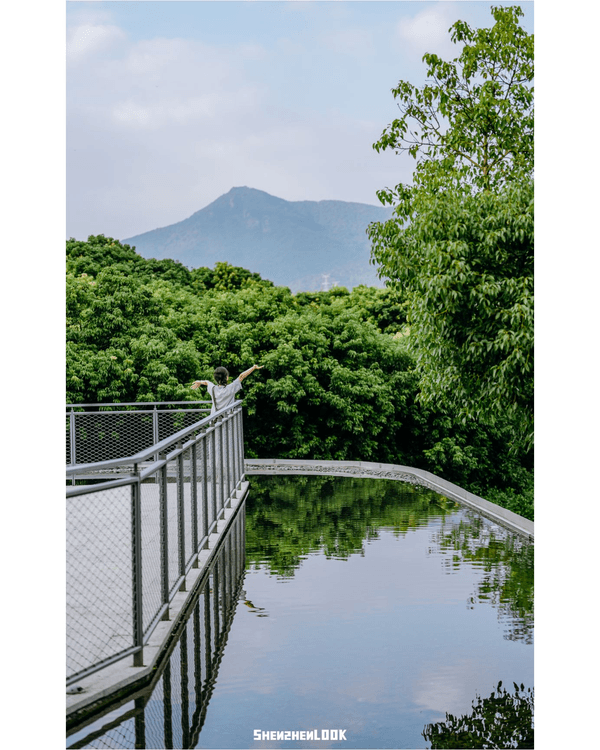 深圳首個「有冷氣綠道」環西麗湖🌳全長16.2km橫掃國際大獎🏆附3大絕美公園路線