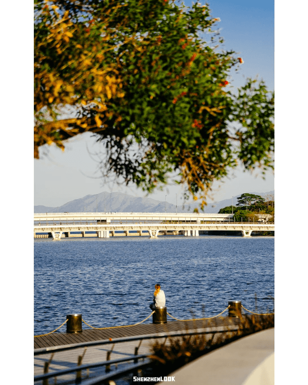 深圳首個「有冷氣綠道」環西麗湖🌳全長16.2km橫掃國際大獎🏆附3大絕美公園路線