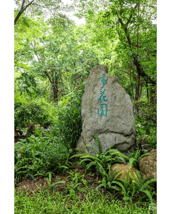 深圳福田園博園4大仙氣打卡Cafe🍎巨型大蘋果+南法莊園下午茶☕️仲有得近距離摸袋鼠！