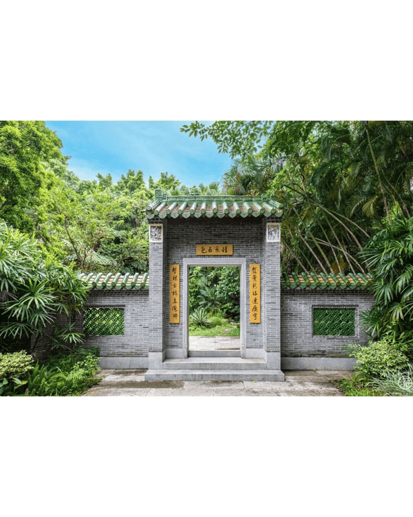 深圳福田園博園4大仙氣打卡Cafe🍎巨型大蘋果+南法莊園下午茶☕️仲有得近距離摸袋鼠！