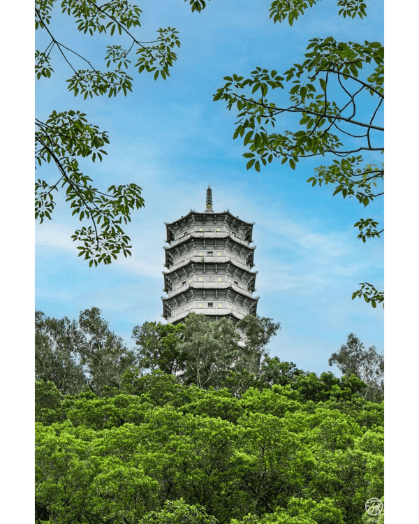 深圳福田園博園4大仙氣打卡Cafe🍎巨型大蘋果+南法莊園下午茶☕️仲有得近距離摸袋鼠！