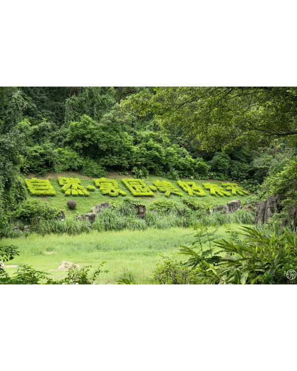 深圳福田園博園4大仙氣打卡Cafe🍎巨型大蘋果+南法莊園下午茶☕️仲有得近距離摸袋鼠！