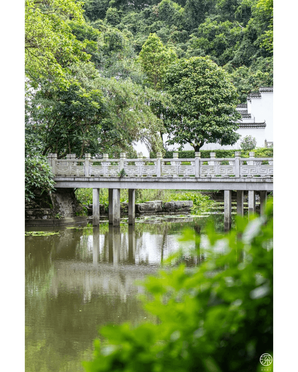 深圳福田園博園4大仙氣打卡Cafe🍎巨型大蘋果+南法莊園下午茶☕️仲有得近距離摸袋鼠！