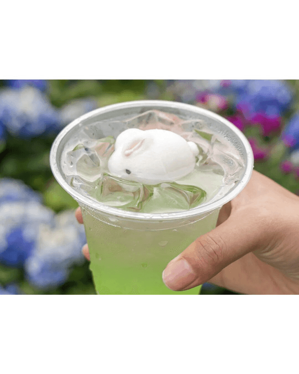 深圳福田園博園4大仙氣打卡Cafe🍎巨型大蘋果+南法莊園下午茶☕️仲有得近距離摸袋鼠！