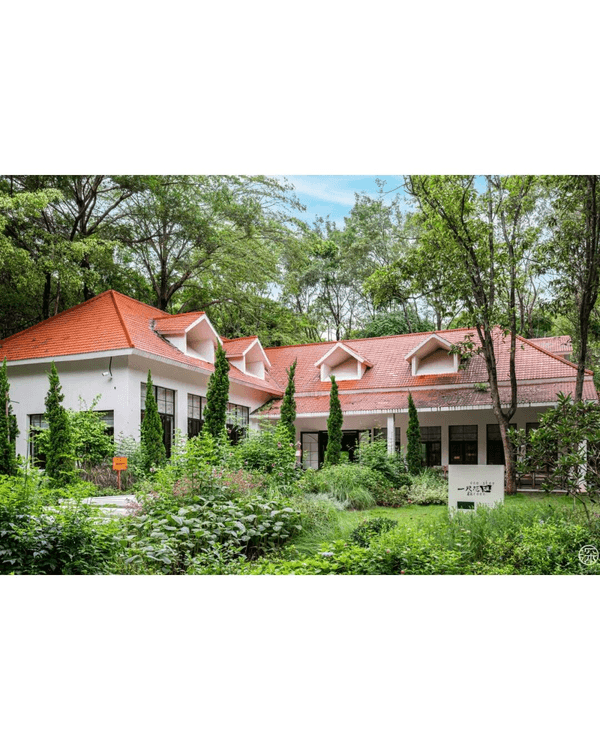 深圳福田園博園4大仙氣打卡Cafe🍎巨型大蘋果+南法莊園下午茶☕️仲有得近距離摸袋鼠！
